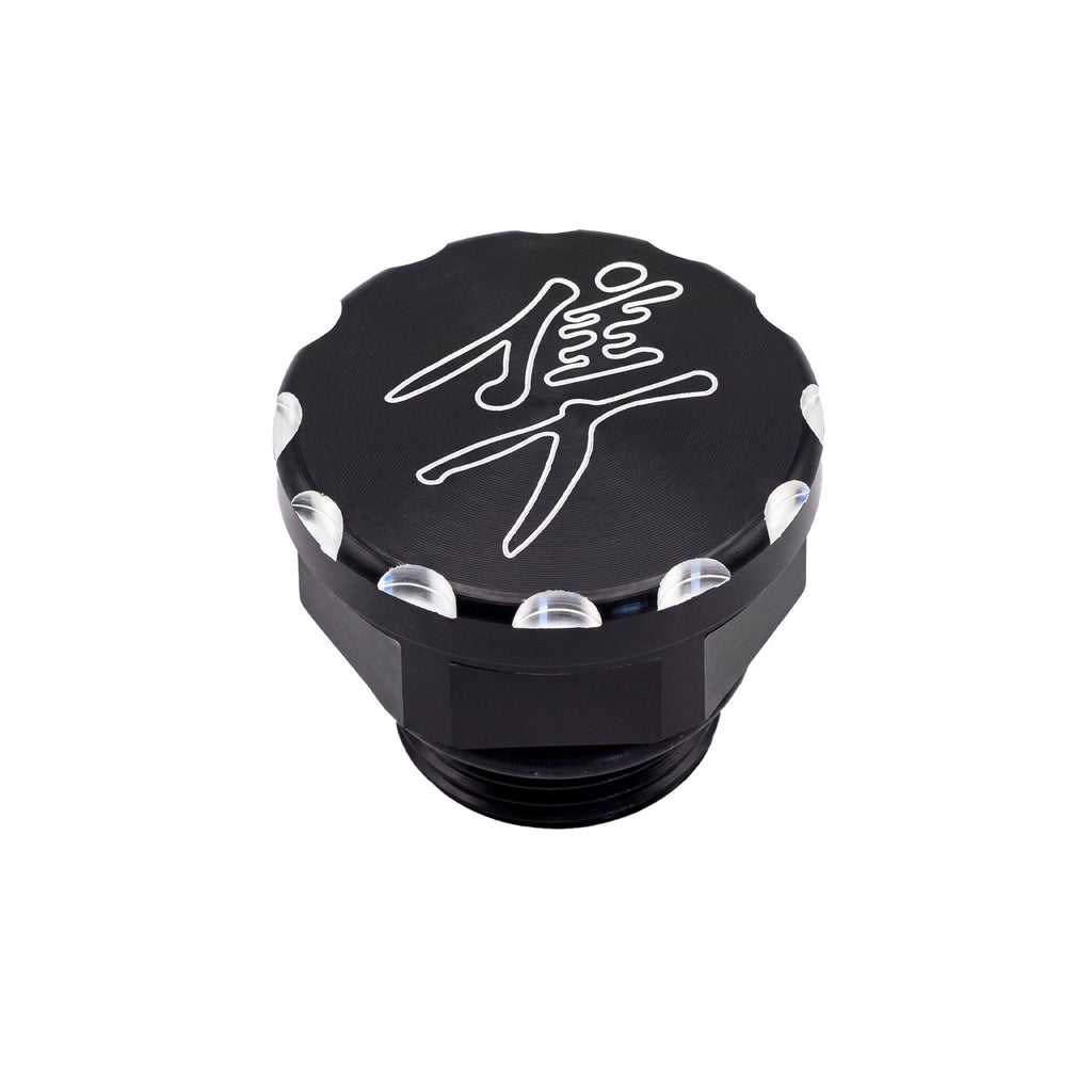 Suzuki Hayabusa GSX1300R Oil Filter Screw 1999–2017_5