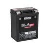 BS Battery BTX14AH SLA Max 12V 13.7Ah Battery for Big Engine Motorcycles