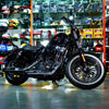 2019 Harley Sportster 1200 Motorcycle for Sale In Abudhabi