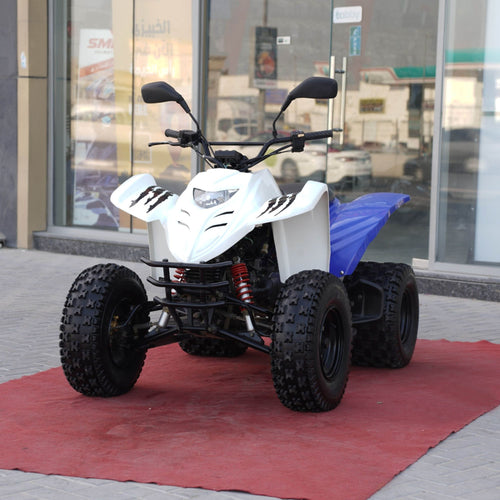 Interceptor 150cc Taiwan Budget Commuter Bike for Sale In Sharjah