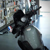 Used Honda Rebel 1100 2023 for Sale In Abudhabi - 0555546678
